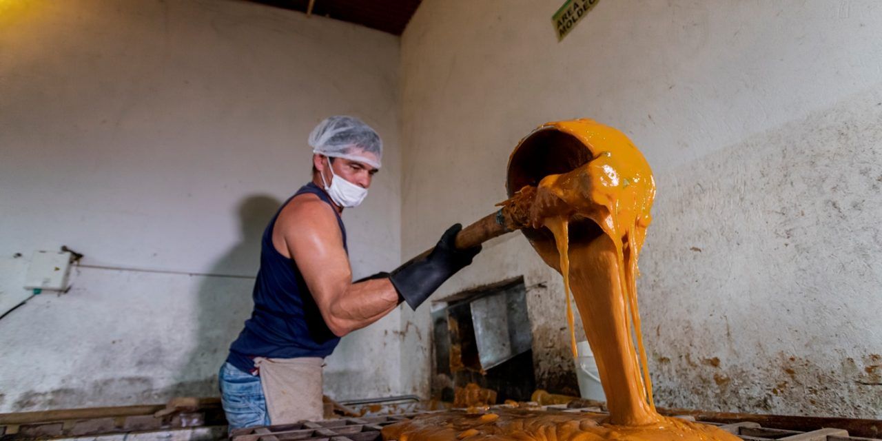 La panela es una fuente de energía, que aporta elevadas cantidades de carbohidratos, necesarios para compensar los requerimientos energéticos en deportes de alta resistencia.