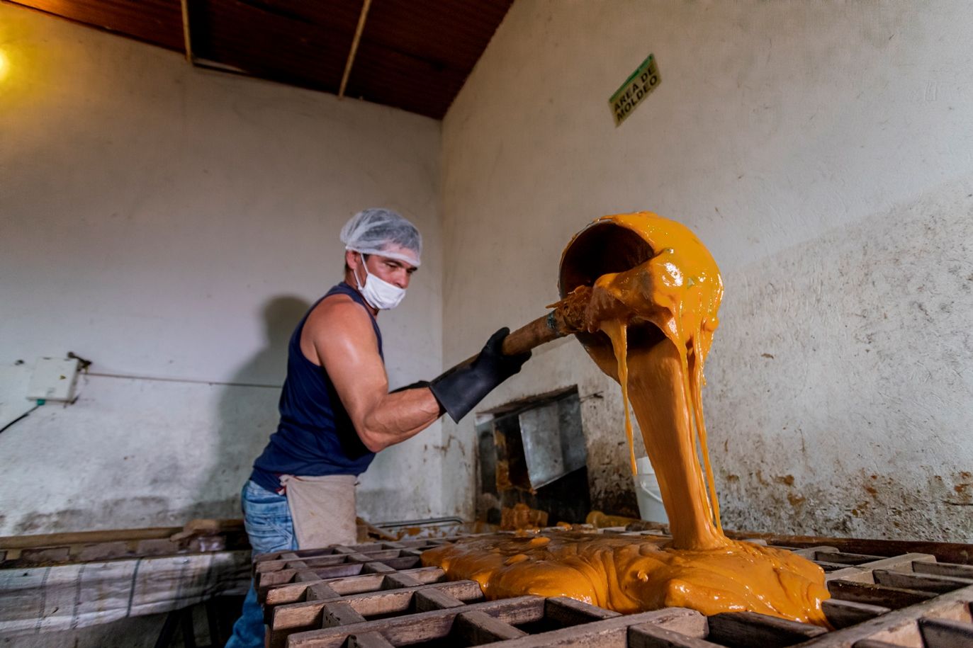 El cultivo de caña de azúcar para panela en Colombia, revela su potencial