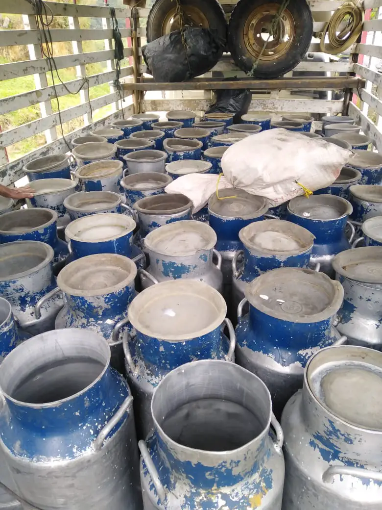 Grandes pérdidas dejaron derramamiento de leche en Río Ceibas