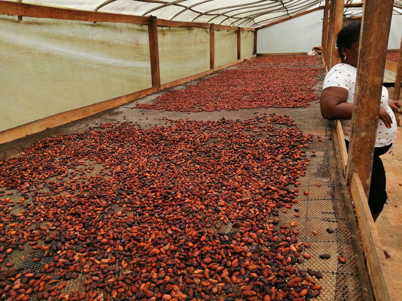 Solo el 5% del precio de venta final llega a las familias de pequeños productores en Colombia.