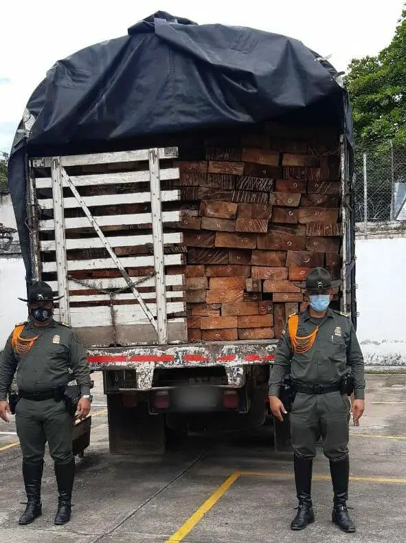 Policía incautó 22.5 metros cúbicos de madera