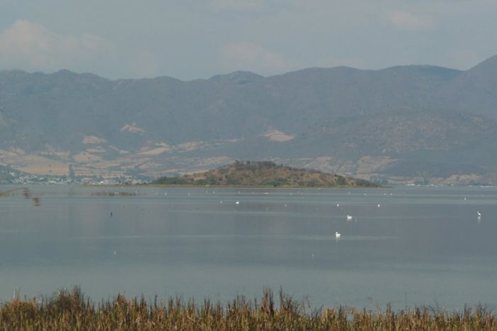  El milenario lago de Cuitzeo, el segundo más grande de México está en peligro