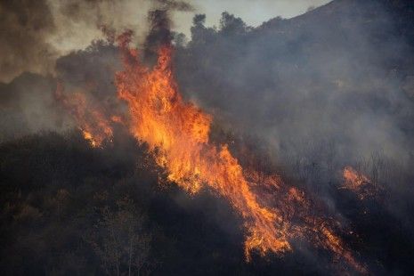 Crecen incendios en el oeste de EE.UU. por la ola de calor