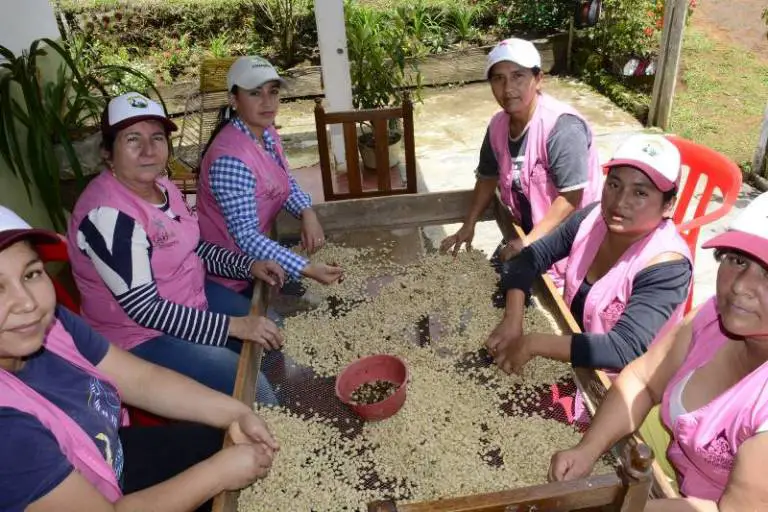 Abren convocatoria para financiar proyectos de mujeres rurales asociadas en el Huila