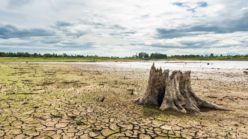 La mayoría de los ríos del mundo se secan una vez al año