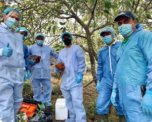 En La Plata entrenan a profesionales para estar alerta ante enfermedades aviares