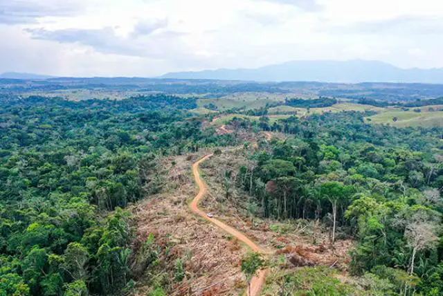 Según los datos de las autoridades ambientales, el 70 % de la deforestación en el país se concentra particularmente en cinco departamentos.