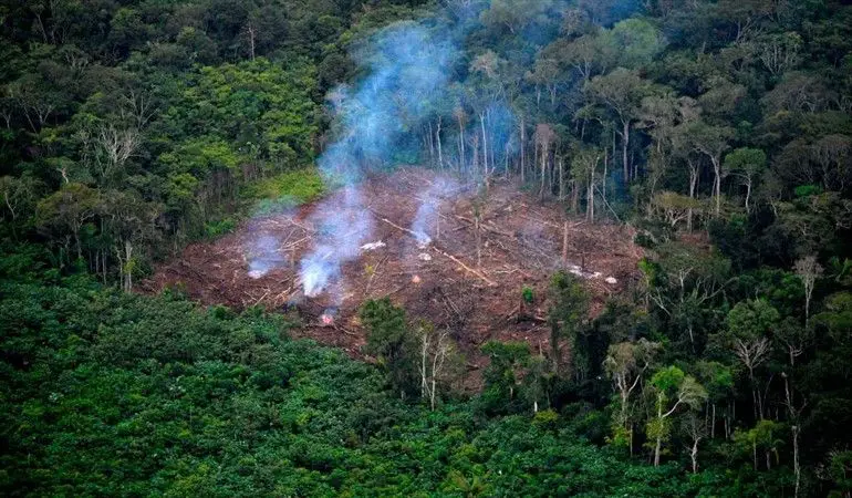 Deforestación en Colombia creció 8% durante el 2020