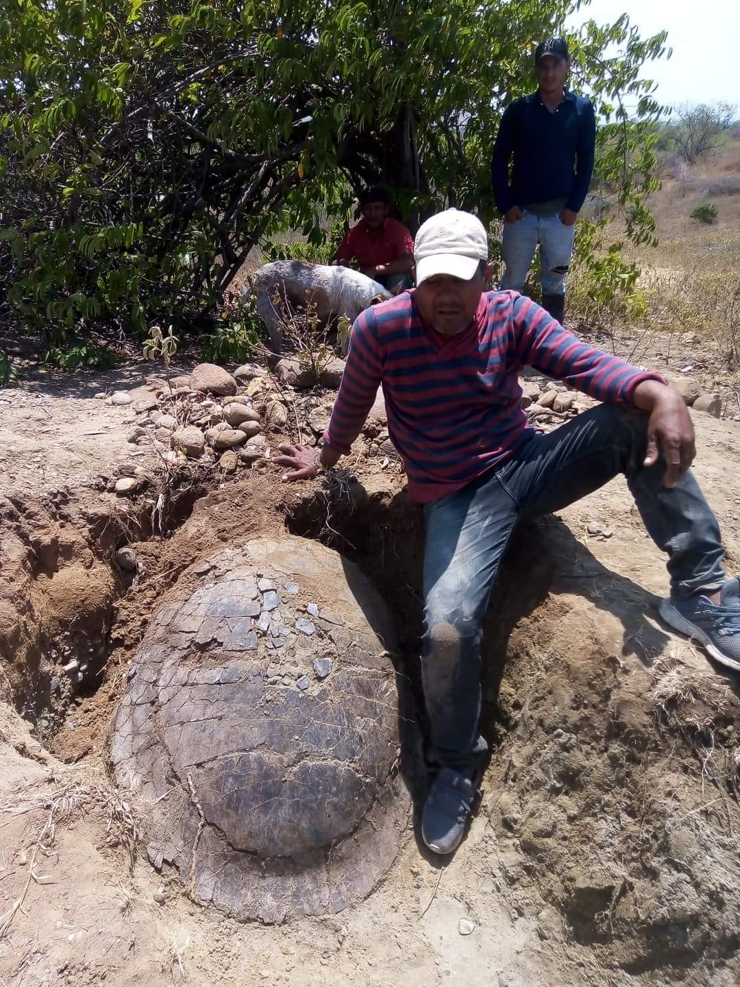 La Venta, un yacimiento natural, de interés científico mundial