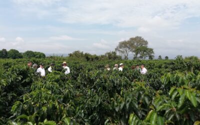 Huila apuesta por café sin contaminar ríos