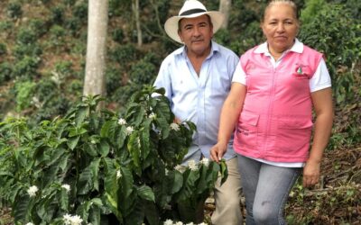 Huila, motor de la caficultura colombiana