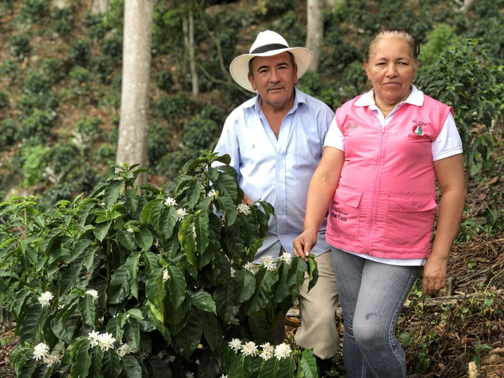 Huila, motor de la caficultura colombiana