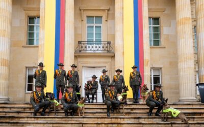 Despedida con honores: ‘Rigo’ el héroe de cuatro patas se retira por un cáncer