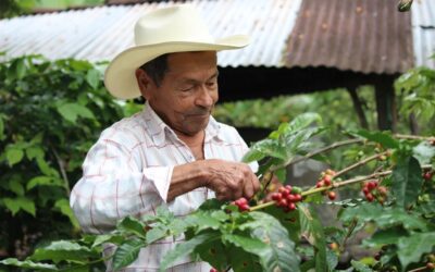 Gremios exigen medidas ante desaceleración