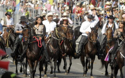 Archivo de proyecto que regulaba cabalgatas en Neiva deja en vilo bienestar animal