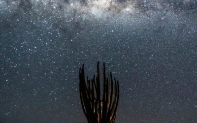 Astroturismo, otro valor del Desierto de la Tatacoa