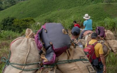 El desplazamiento forzado es la estrategia más utilizada por los ‘armados