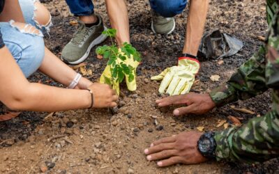 Ejército lideró jornada de reforestación en Palermo tras incendios forestales