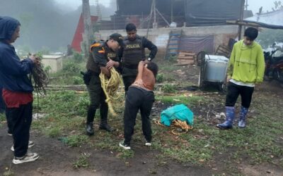 Carabineros rescataron a mujer con trastorno mental en San Agustín, Huila