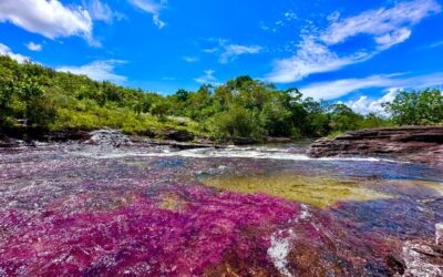 Japón levanta restricción para que sus ciudadanos viajen a ‘Caño Cristales’