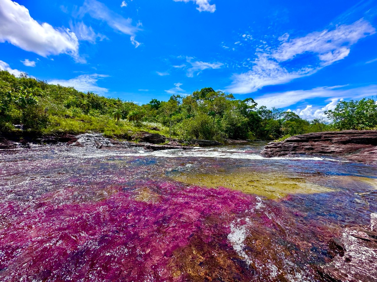 Japón levanta restricción para que sus ciudadanos viajen a ‘Caño Cristales’