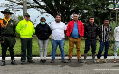 Judicializados seis presuntos responsables de tala ilegal en Cueva de los Guácharos