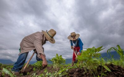 El campo pierde fuerza entre los jóvenes