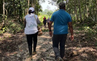 Excombatientes de las FARC impulsan la búsqueda de desaparecidos en Huila, Caquetá y Putumayo