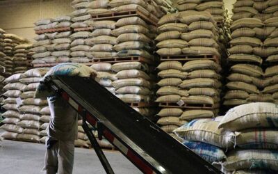 Exportaciones de café, amenazada por falta de contenedores