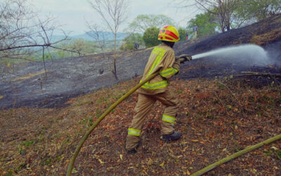 Más de 25 mil hectáreas han sido consumidas por incendios en el Huila