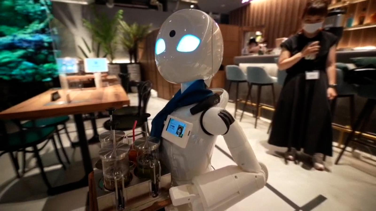 Cadena hotelera estrenará robots meseros