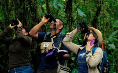 Colombia se consolida como el mejor país para el avistamiento de aves en el mundo