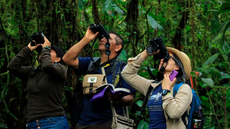 Colombia se consolida como el mejor país para el avistamiento de aves en el mundo