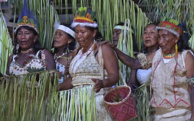 Cada dos semanas desaparece una lengua indígena y su cultura