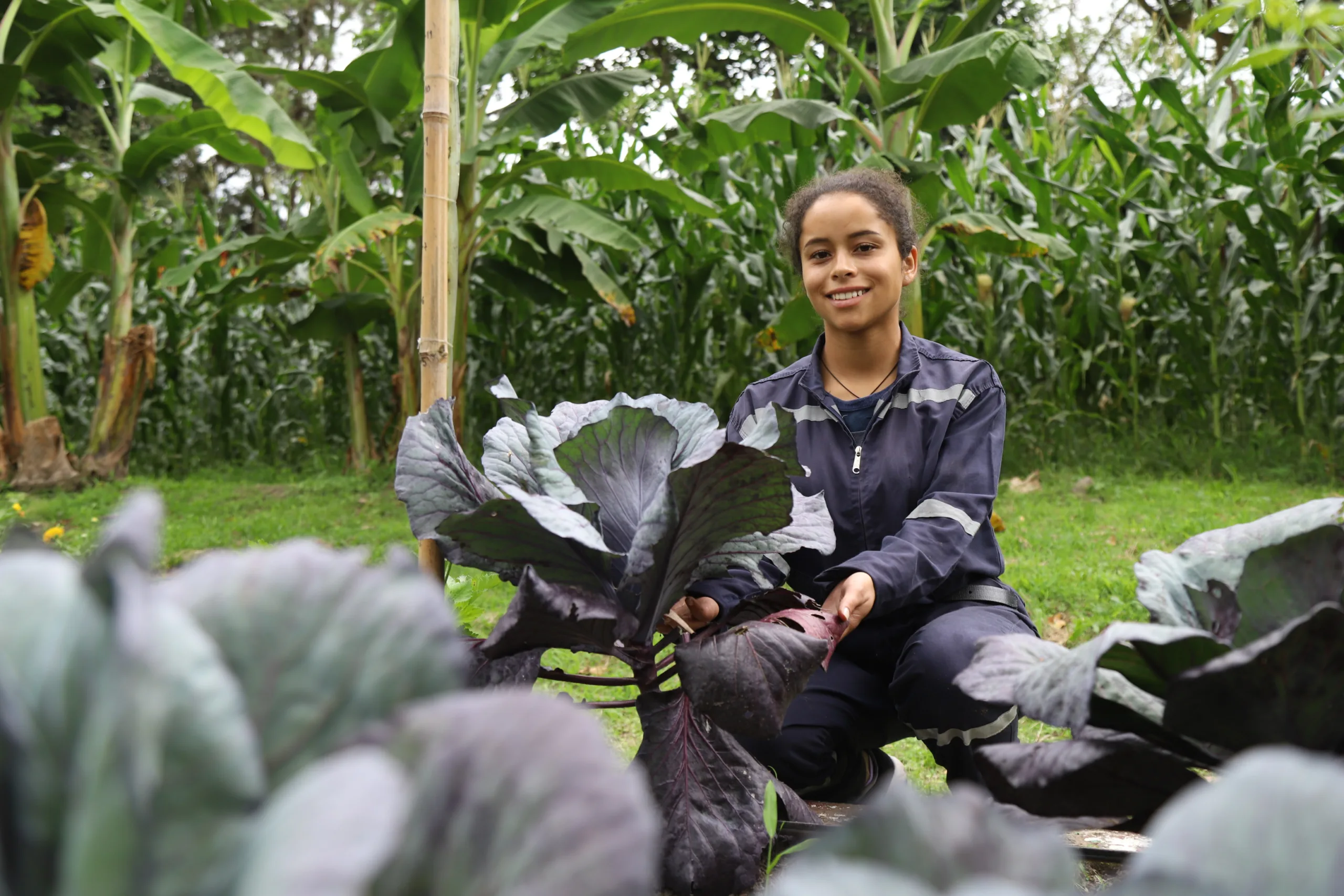 Soberanía, agricultura y academia