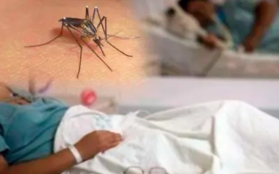 Casos de dengue prende las alarmas en el Huila