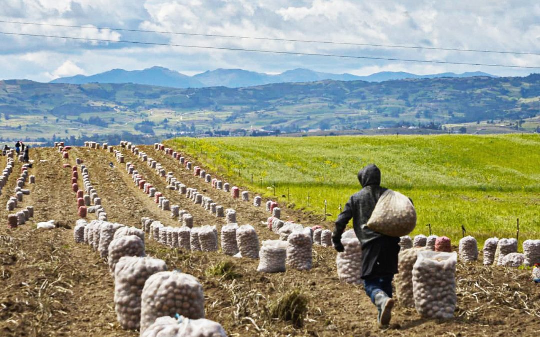 Fenómenos climáticos ponen en peligro producción: Alerta de RAP-E