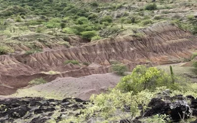 Yacimiento paleontológico del Huila fue postulado para ser ‘Patrimonio de la Humanidad’