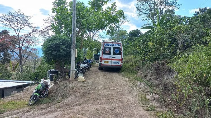 Adulto mayor murió tras ser atacado por abejas africanizadas en Pitalito