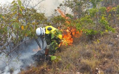 Continúa la emergencia en Palermo, Huila: Tres incendios forestales siguen activos