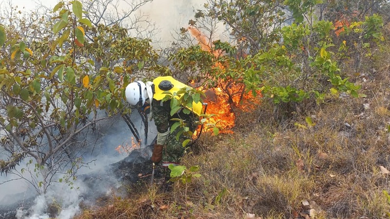 Continúa la emergencia en Palermo, Huila: Tres incendios forestales siguen activos