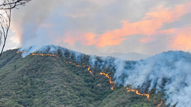 Incendios forestales en Palermo bajo control en un 90%, según autoridades locales