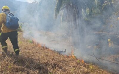 Incendios forestales en Aipe ya han arrasado con 2.502 hectáreas