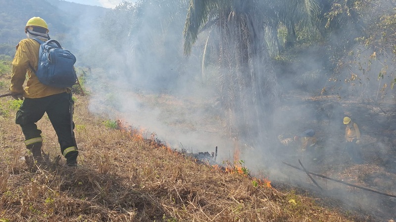 Incendios forestales en Aipe ya han arrasado con 2.502 hectáreas