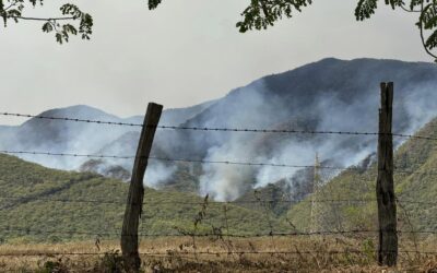 Personería de Palermo pide más aeronaves y más horas de vuelo para hacer frente a los incendios