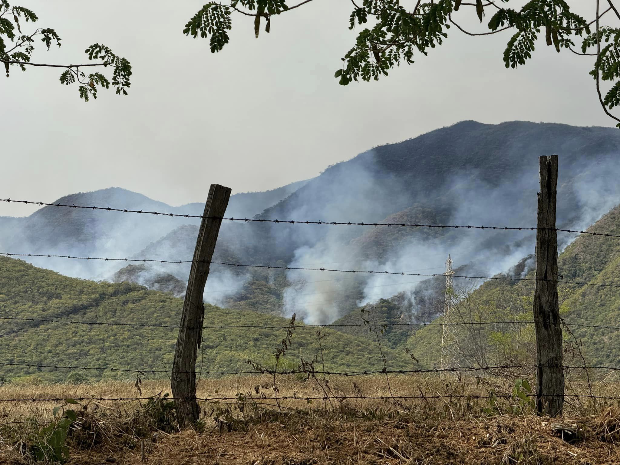 Personería de Palermo pide más aeronaves y más horas de vuelo para hacer frente a los incendios