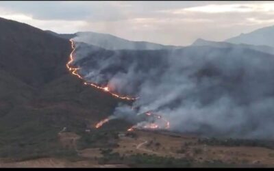 Recomendaciones de salud ante la contaminación del aire por incendios en Palermo