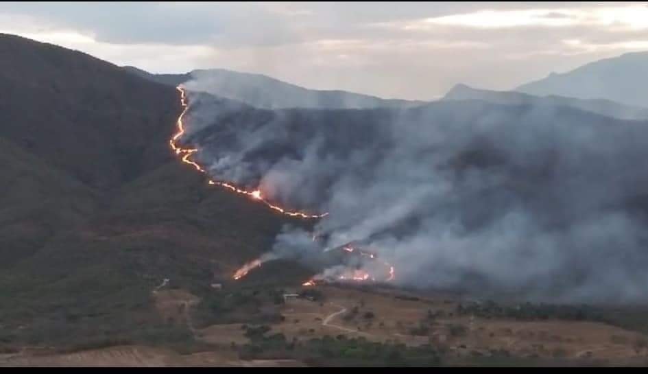 Recomendaciones de salud ante la contaminación del aire por incendios en Palermo