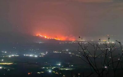 ¿Cómo ayudar ante la emergencia por incendios que vive Palermo, Huila?