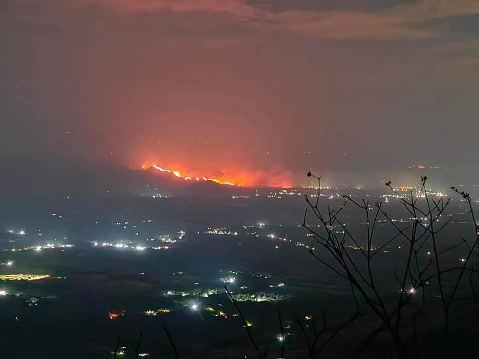 ¿Cómo ayudar ante la emergencia por incendios que vive Palermo, Huila?